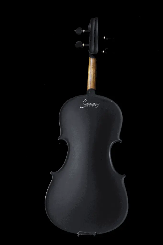 black back (1).webp
