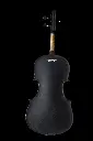 black back (1).webp