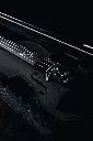 black box (1).webp