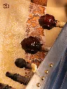 6.webp