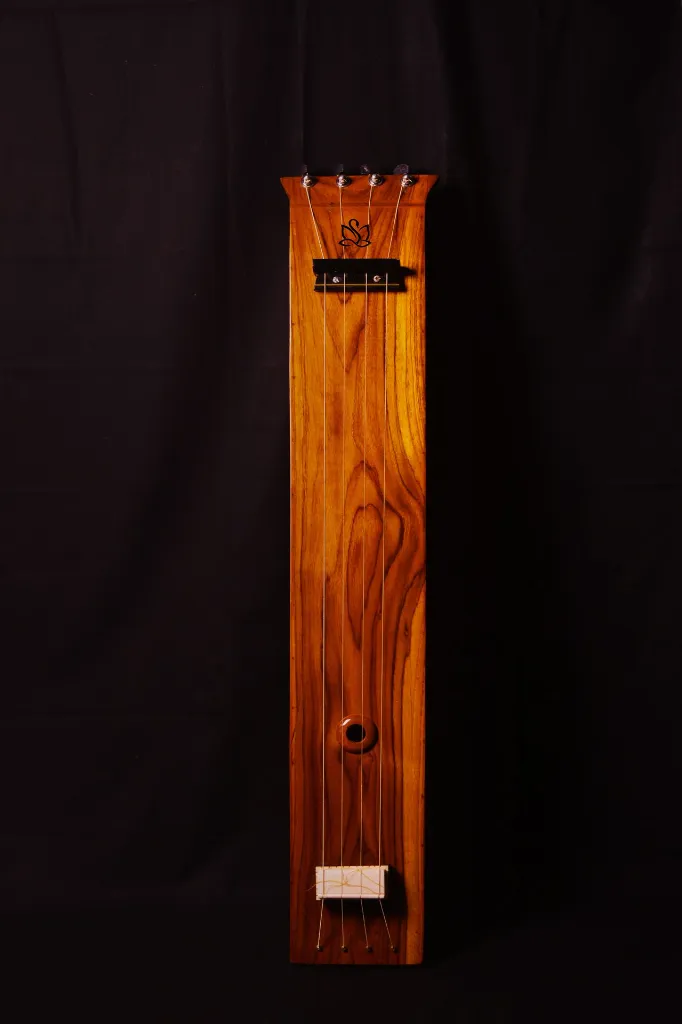 Box Tanpura TS1 