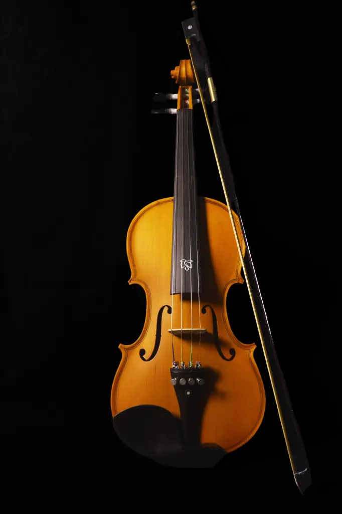Acoustic Violin VL1 4/4