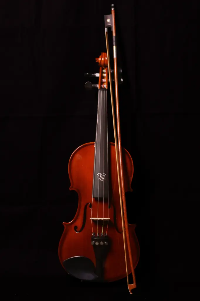 Acoustic Violin VL2 4/4