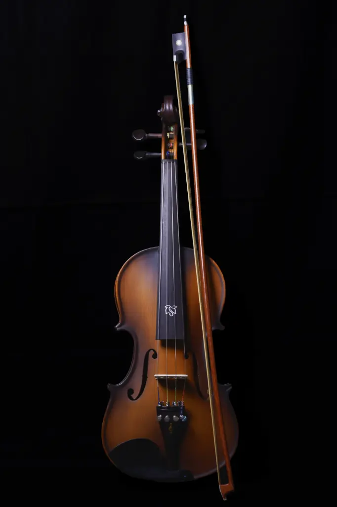 Acoustic Violin VL3 4/4 | Semi-Acoustic | 4/5 String