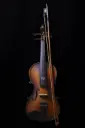Acoustic Violin VL3 4/4 | Semi-Acoustic | 4/5 String