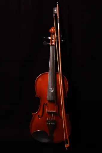 Acoustic Violin VL2 4/4