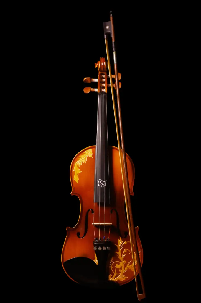 Acoustic Violin VL4 4/4 | 4/5 String | Swarang Music